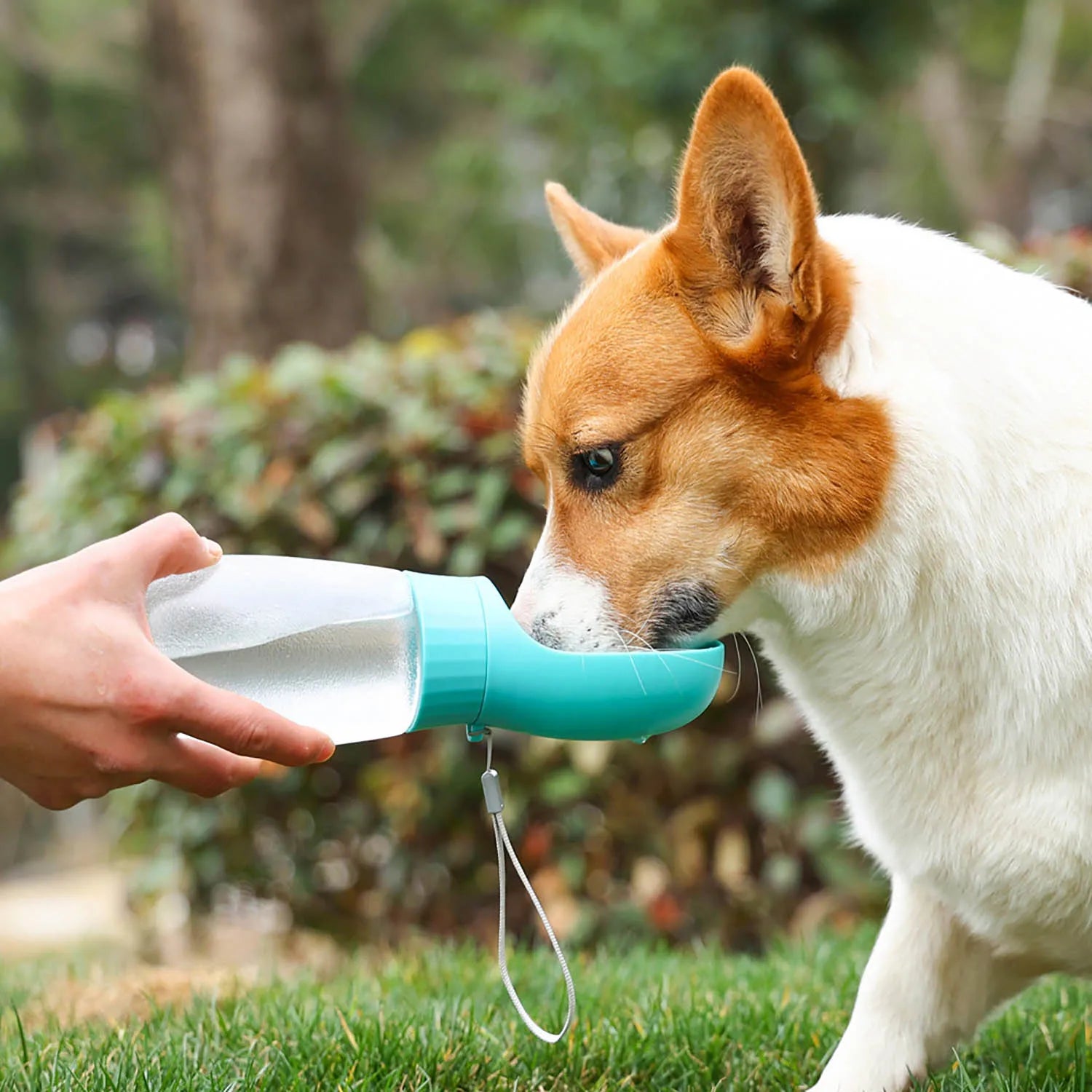 Pet Travel Water Bottle for Dogs & Cats – Leakproof & Portable