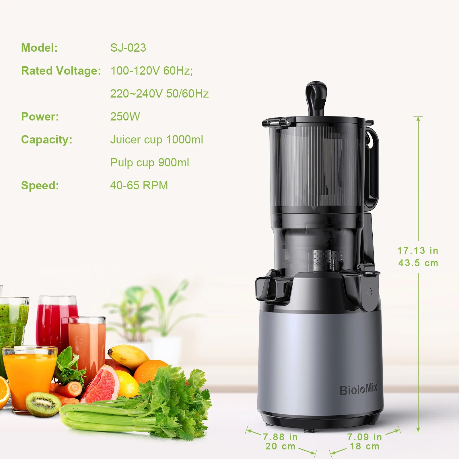 BioloMix Cold Press Juicer – Whole Fruits & Veggies, BPA-Free